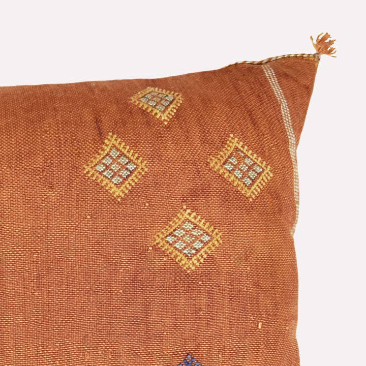 Vegan Cactus Cushion XL | Terracottas